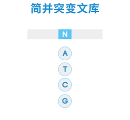 3. 简并突变文库