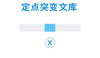 1. 定点突变文库
